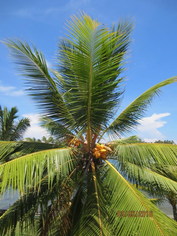 Feel Beach Villa Kalutara Exterior foto